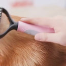 Escova Rasqueadeira Anti Pelo Embaraçado para Pets