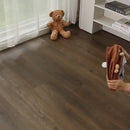 Túnel Dobrável Ursinho para Gatos