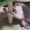 Arranhador Palmeira para Gatos
