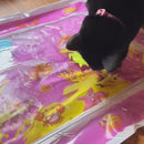 Brinquedo Tapete Inflável de Água para Pets