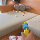 Brinquedo Pistola com Bolinhas de Pelúcia para Gatos