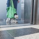 Sacola de Transporte Multifuncional para Gatos