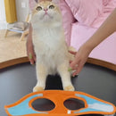 Peitoral Ajustável com Guia para Gatos