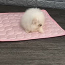 Tapete Gelado para Pets