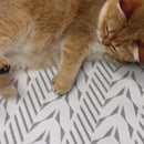 Manta Ninho para Gatos