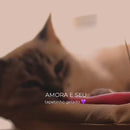 Tapete Gelado para Pets