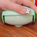 Removedor de Pelos Portátil