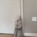 Abre Portas Automático para Pets