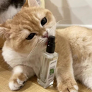 Spray Estimulante de Catnip para Gatos
