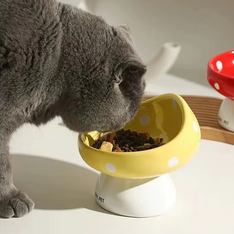 Tigela Cogumelo de Cerâmica para Gatos