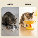 Tigela Inclinável de Cerâmica para Gatos