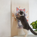 Carpete Adesivo (com Estampa) para Unha de Gatos