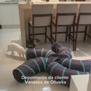 Túnel Interativo com Vários Tamanhos para Gatos