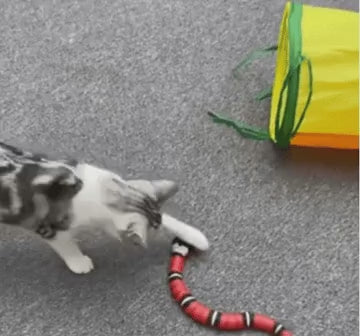 Cobrinha para gatos - brinquedo interativo com carregamento USB
