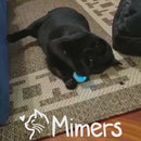 Brinquedo Bola Inteligente Elétrica para Gatos