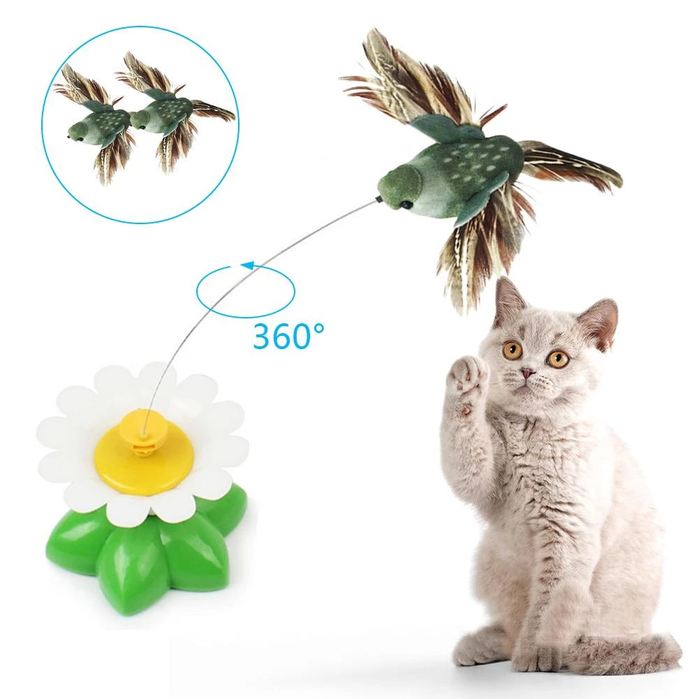 Gato Automático Brinquedos Interativos Elétrica Rotativa Borboleta Gatinho  Gato Brinquedos Realista Fluttering Som Exercício Gato Produtos Para  Animais De Estimação - Brinquedos Para Gatos - AliExpress