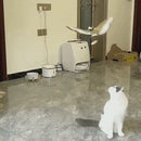 Brinquedo Pássaro Elétrico de Teto Interativo para Gatos